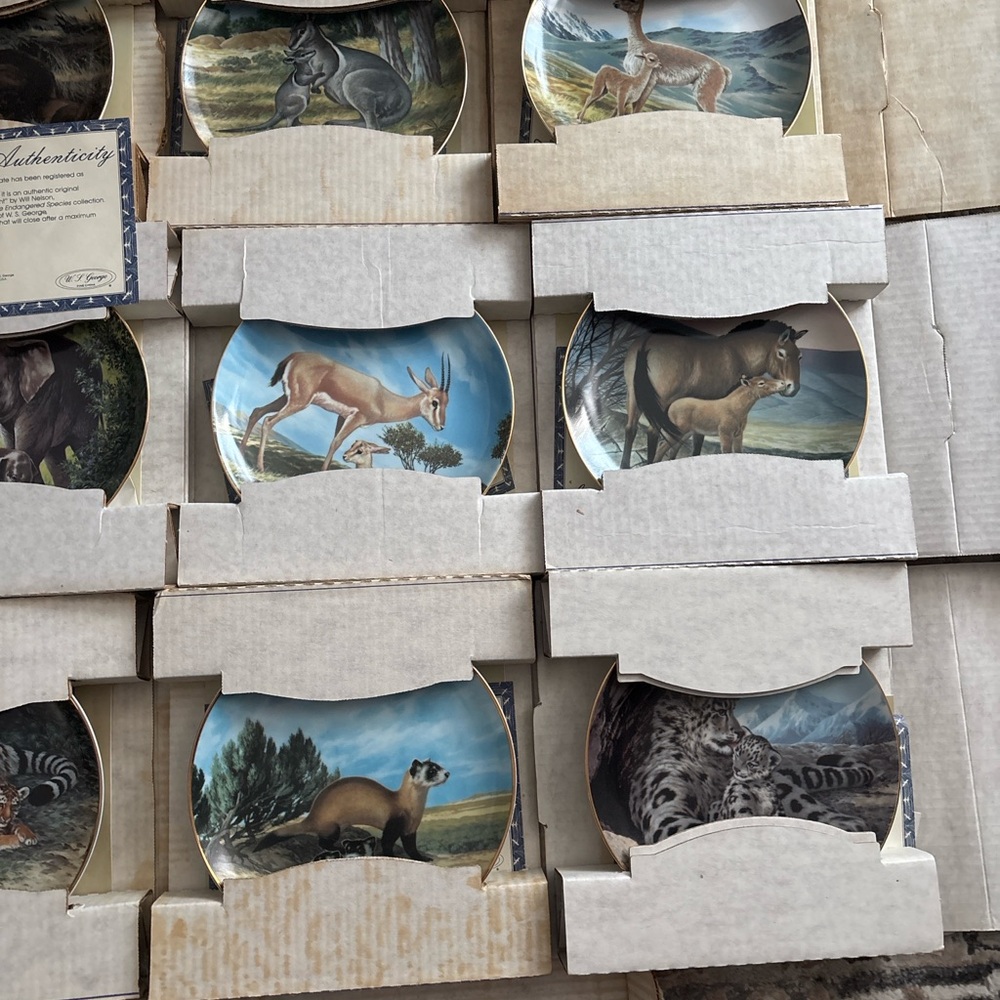 Wildlife Elephant Collector Plate